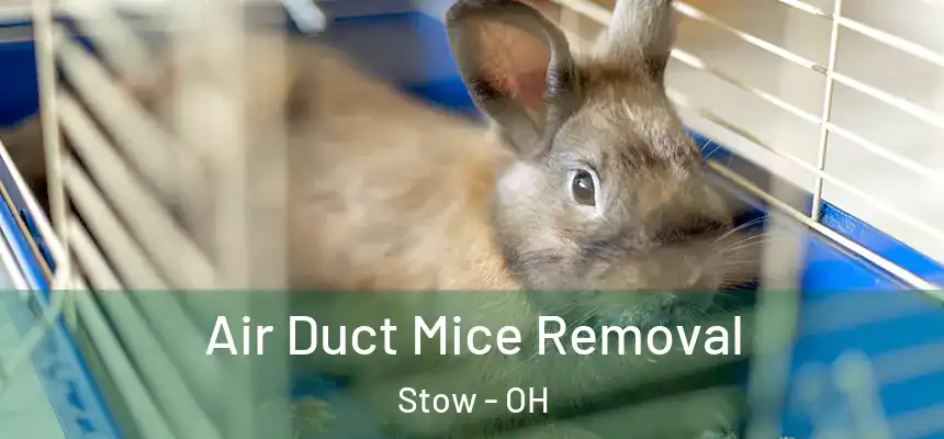 Air Duct Mice Removal Stow - OH