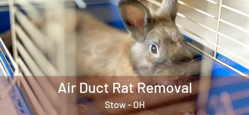  Air Duct Rat Removal Stow - OH