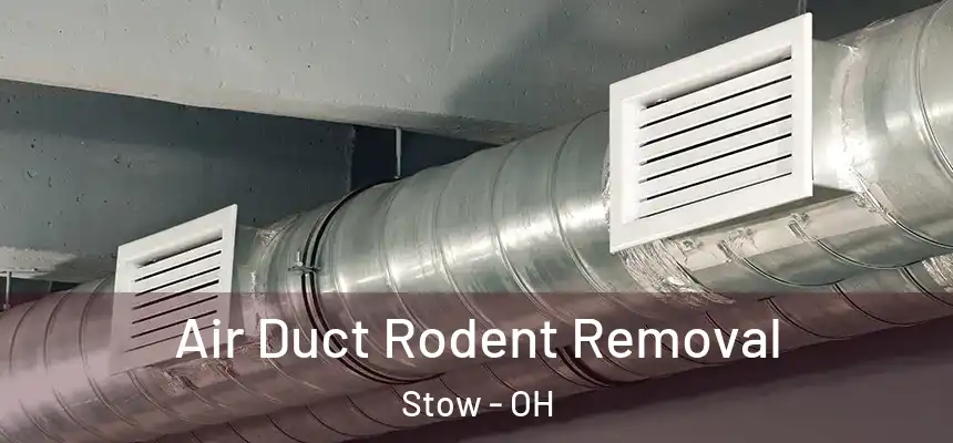  Air Duct Rodent Removal Stow - OH
