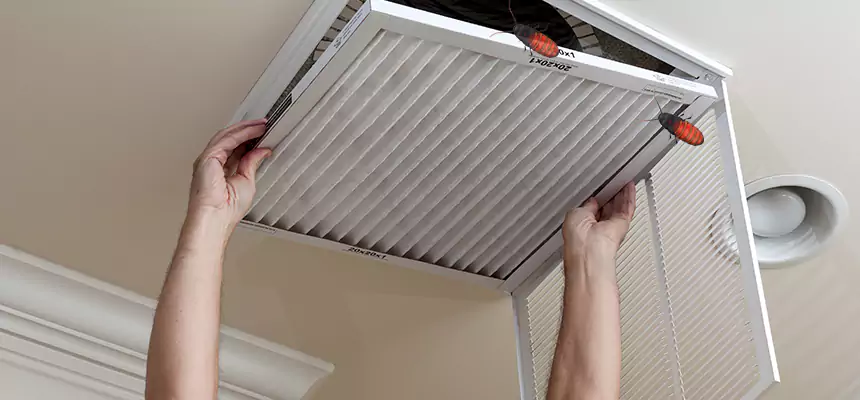 Our Insect Removal from Air Ducts Services in Stow, OH
