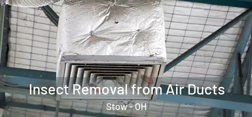 Insect Removal from Air Ducts Stow - OH