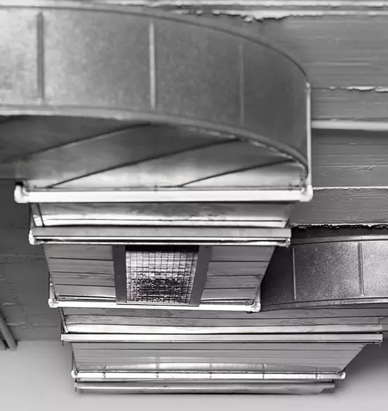 Professional Air Duct Pest Removal in Stow, OH