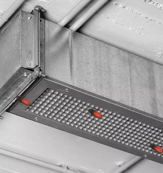 Affordable Insect Removal from Air Ducts in Stow, OH